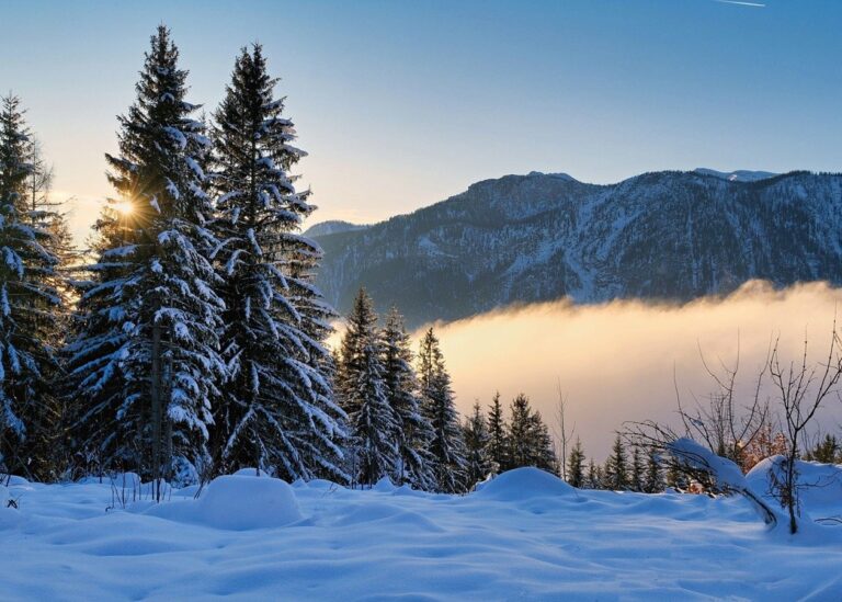 Свята 24 лютого 2025 року: іменини, прикмети