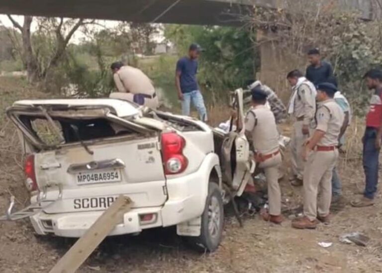 В Індії група вірян загинула в ДТП: вижила тільки жертовна коза