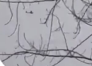 Завод дронів в РФ атакували безпілотники - ЦПД