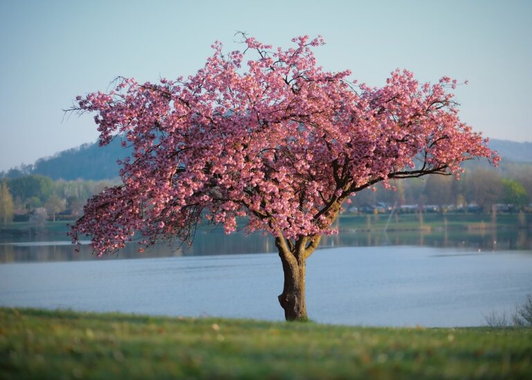 Гороскоп для знаків зодіаку на 29 квітня 2025 року
