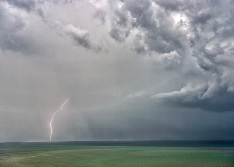 Синоптики прогнозують дощі та грози у більшості регіонів