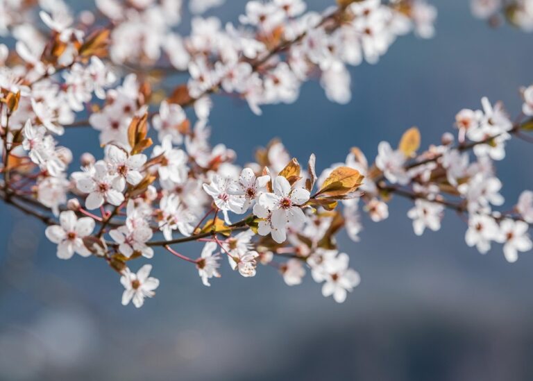 Свята 6 травня 2025 року: іменини, прикмети