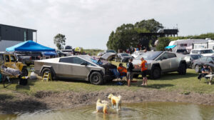 Маск створив своє місто у Техасі