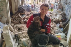 Обстріл п’ятиповерхівки на Сирці: з-під завалів врятовано живого кота (фото)