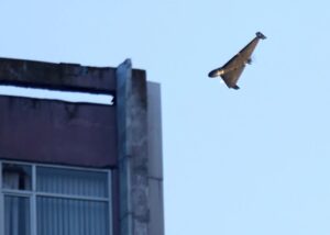 "Шахеди" вдарили по ТЦК у Полтаві, є загиблі
