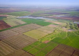 Україна з початку року отримала 527 млн грн від оренди земель