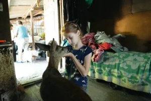 У селі на Житомирщині родина взяла до хати незвичну тварину