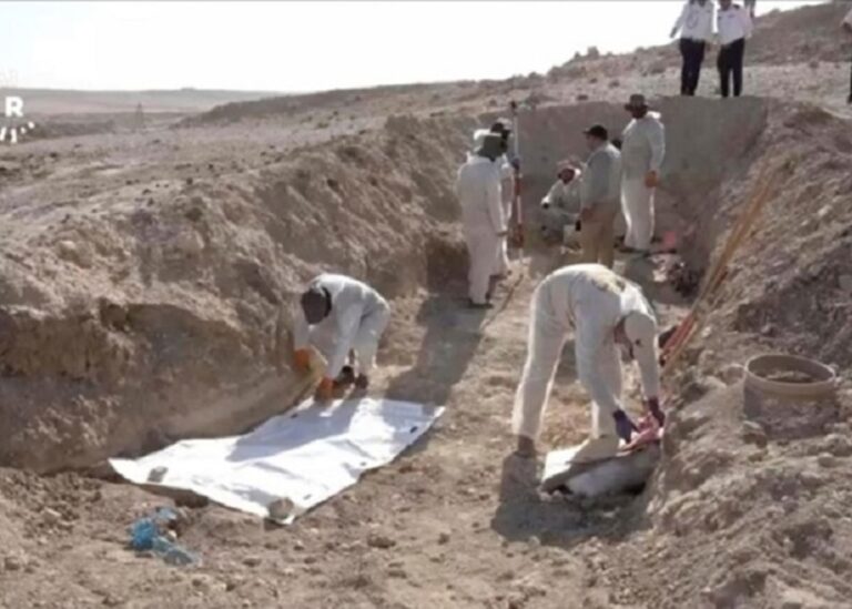 В Іраку розпочали розкопки масового поховання жертв угруповання ІДІЛ