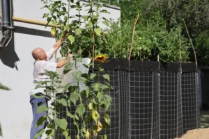 Херсонець перетворив захисні споруди у центрі міста на грядки