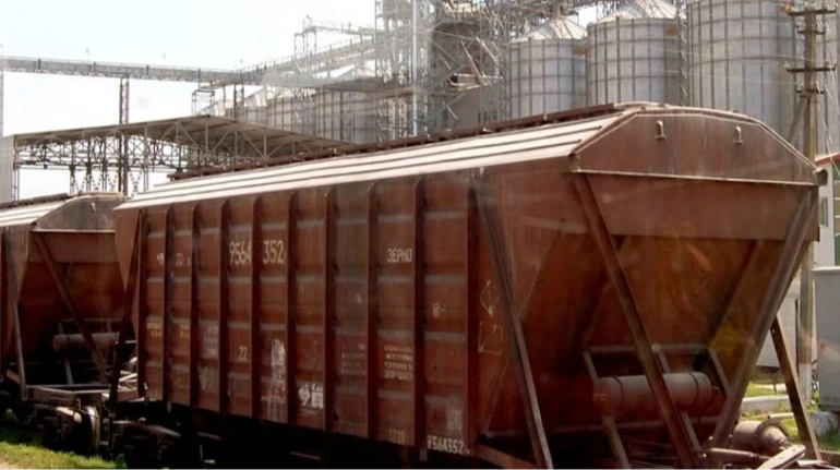До українських морських портів пішло більше зерна