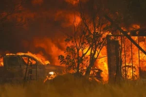 Історичне місто у Каліфорнії постраждало від лісових пожеж
