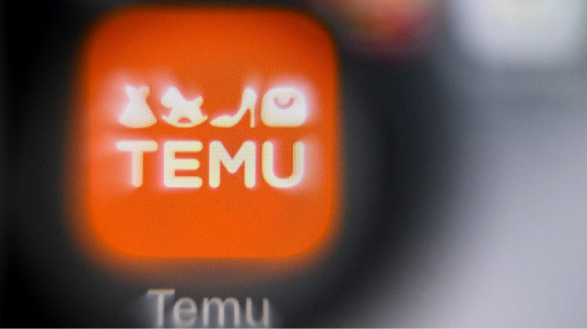 Прибуток Temu у ЄС зріс на 171% з командою у 8 людей