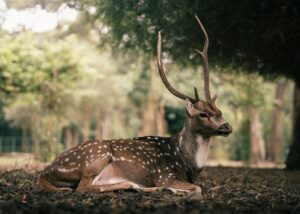 Гороскоп для всіх знаків зодіаку на 2 жовтня 2025 року