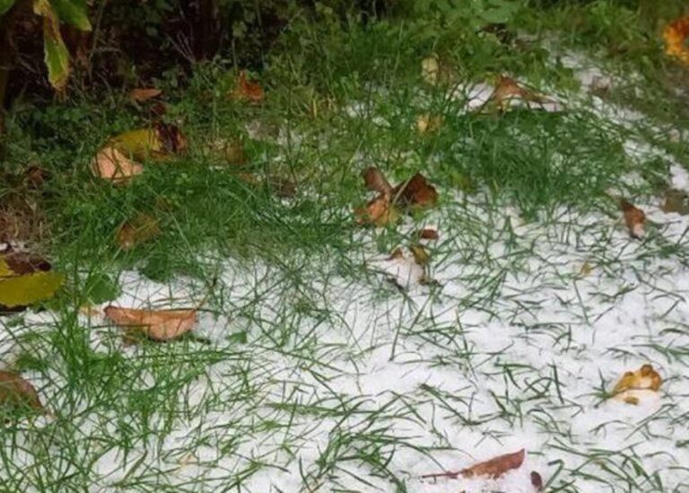 Під Києвом випав перший сніг – соцмережі