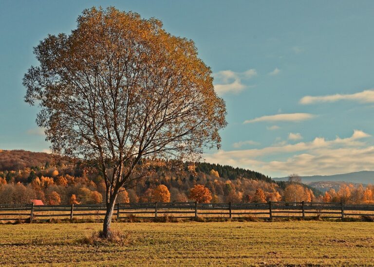 Гороскоп для всіх знаків зодіаку на вихідні 8-9 листопада 2025 року