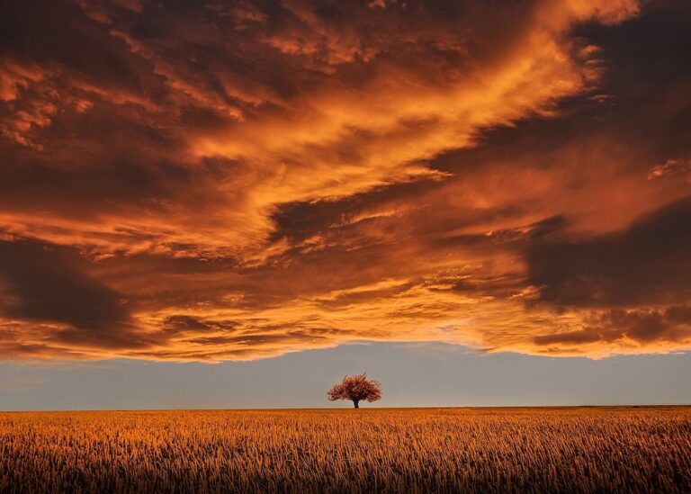 Гороскоп для всіх знаків зодіаку на 11 листопада 2025 року