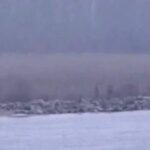 “Якщо Росія не впевнена…”: В Естонії заявили, що застрелять “зелених чоловічків” у разі перетину кордону