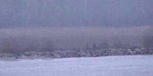 “Якщо Росія не впевнена…”: В Естонії заявили, що застрелять “зелених чоловічків” у разі перетину кордону