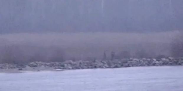 “Якщо Росія не впевнена…”: В Естонії заявили, що застрелять “зелених чоловічків” у разі перетину кордону