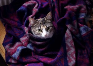 Гороскоп для всіх знаків зодіаку на 27 листопада 2025