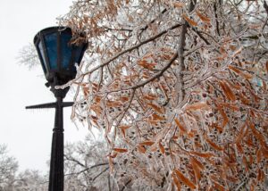 Сильні морози, переважно без опадів: погода на початку лютого