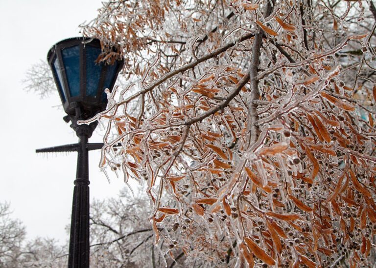 Сильні морози, переважно без опадів: погода на початку лютого