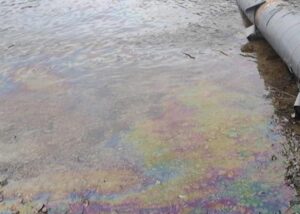 Забруднення Дністра: у Молдові виявили нові нафтові плями і мертвих птахів