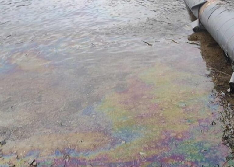 Забруднення Дністра: у Молдові виявили нові нафтові плями і мертвих птахів