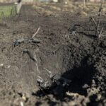 Росіяни вбили 20-річну дівчину на Сумщині