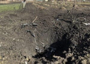 Росіяни вбили 20-річну дівчину на Сумщині