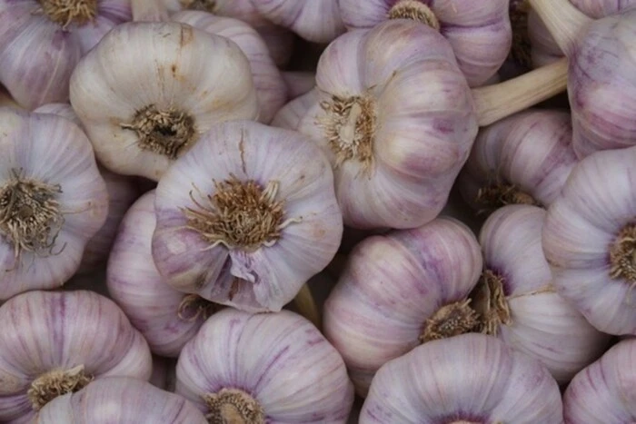 Китайський часник заполонив ринок України: виробники б’ють на сполох