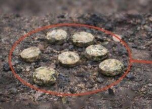 Росіяни дистанційно замінували школу у Херсоні