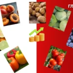 Сім популярних овочів та фруктів, які стануть розкішшю через аномальну погоду