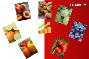 Сім популярних овочів та фруктів, які стануть розкішшю через аномальну погоду