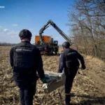 У полі на Київщині виявлено бойові частини ракети Х-101