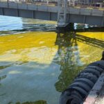 У Тузлівських лиманах площа забруднення олією зросла вдвічі