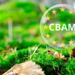 Депутати Європарламенту закликали Єврокомісію розглянути спеціальний режим CBAM для України