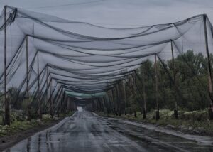 В Україні облаштували понад 800 км антидронових тунелів