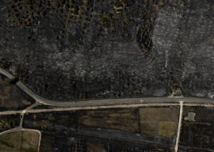 В Європі вигоріло майже 650 000 га лісів