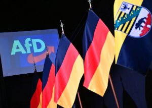 Стало відомо, яка вікова група голосувала за AfD
