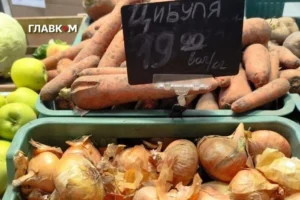 Ріпчаста цибуля в Україні почала дорожчати: які зараз ціни