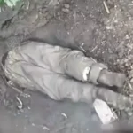 “Нора” не врятувала окупанта: ГУР показало полювання на російську піхоту в запорізьких посадках (відео)